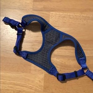 XS blue dog harness
